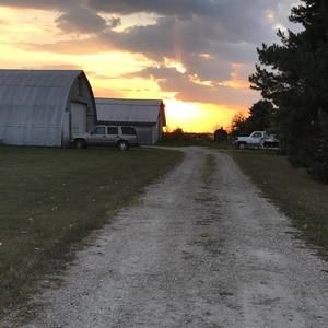 Meet your Posher, Hank